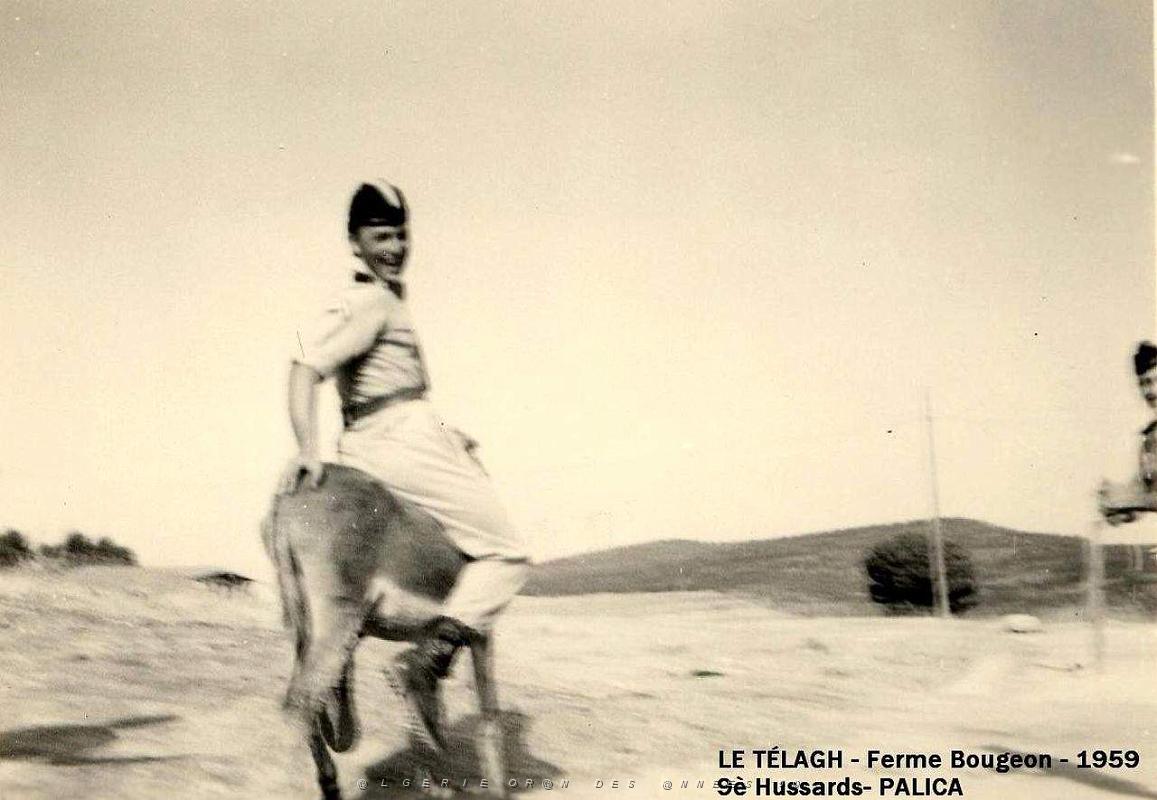 Palica - Le Telagh 017.jpg